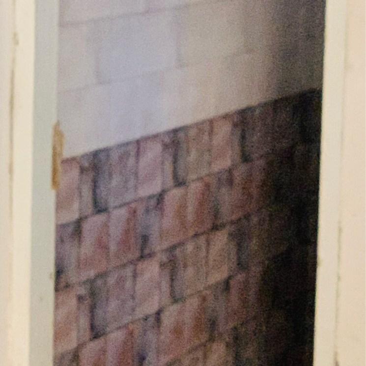 Bathroom, parbhat road 2 Bedroom 100 Sq.Yd. Independent House In Parbhat Road Zirakpur 8139901