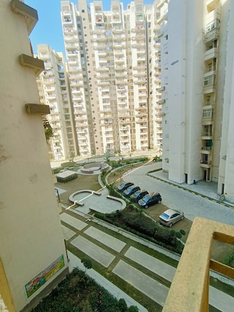 3 BHK Apartment For Rent in Supertech Ecovillage I Sector 1 Greater Noida Greater Noida  8116403