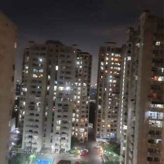 3 BHK Apartment For Rent in Skytech Matrott Sector 76 Noida  8140907