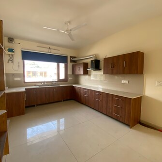 3 BHK Apartment For Rent in Sector 21 Chandigarh  8140951