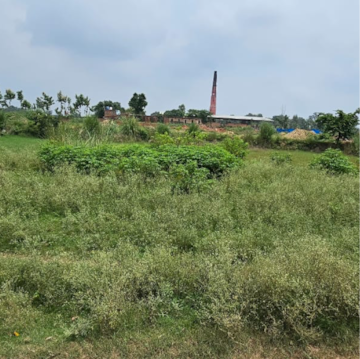 Commercial Land 2 Acre For Resale in Kisan Path Lucknow  8141110