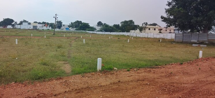 undefined, shankarpalli  605 Sq.Yd. Plot In Shankarpalli Hyderabad 8141118