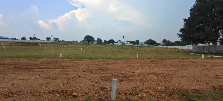 undefined, shankarpalli  605 Sq.Yd. Plot In Shankarpalli Hyderabad 8141118
