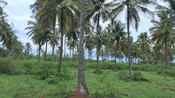  Land – Garden View at Nelamangala - for Sale