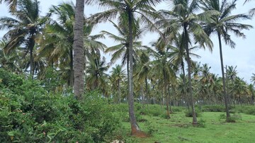  Land – Garden View at Nelamangala - for Sale