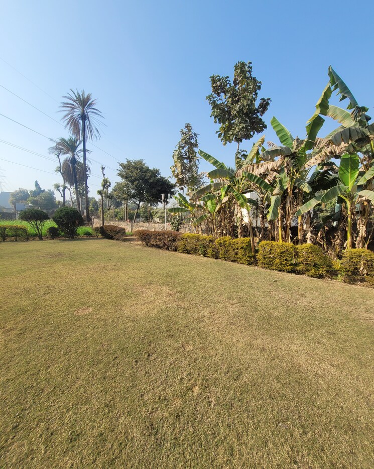 Garden, ansal-api-esencia  1000 Sq.Yd. Plot In Sector 67 Gurgaon 8141200