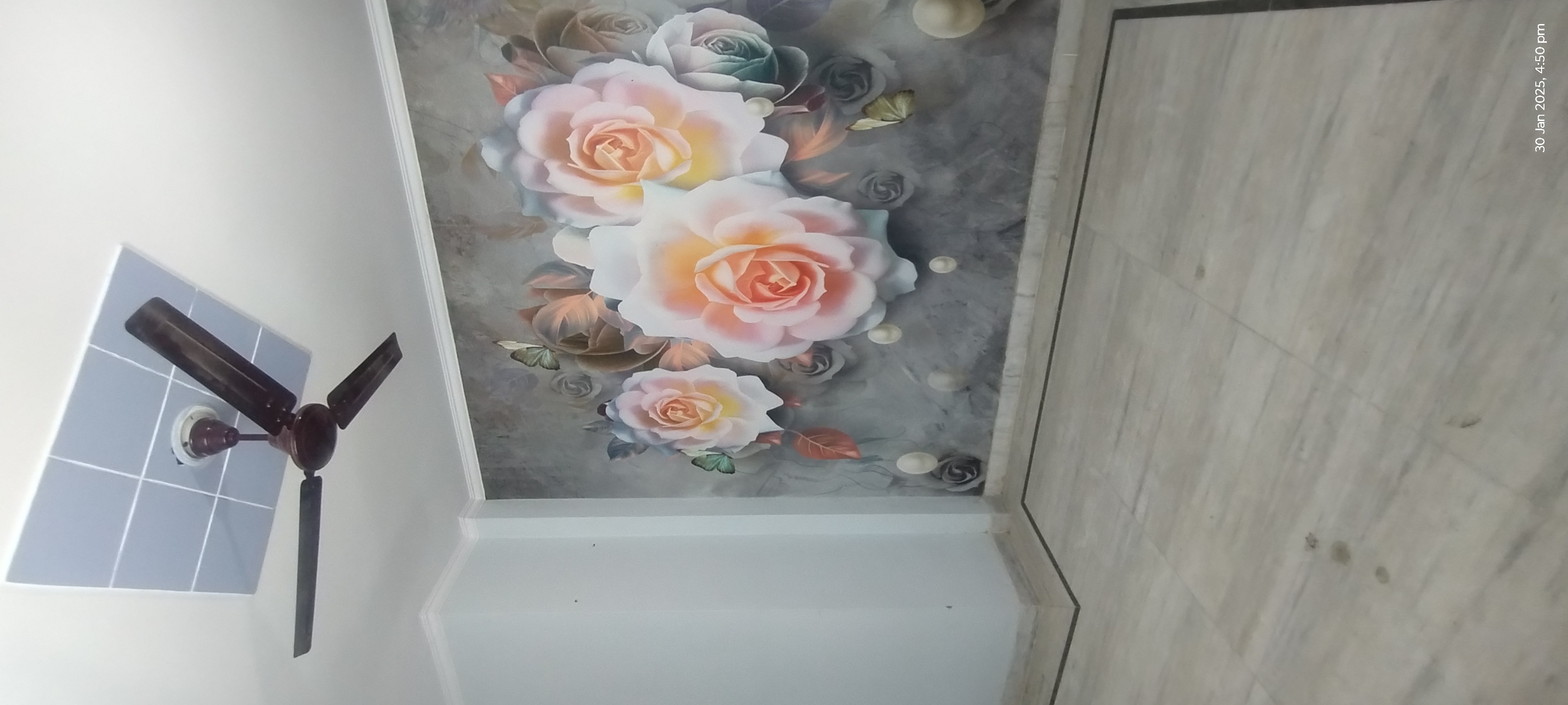 2 BHK + Extra Room Builder Floor For Sale in Dhawan Properties