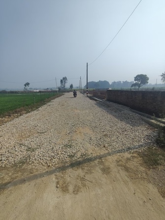 Plot For Resale in Tindola Barabanki  8141318