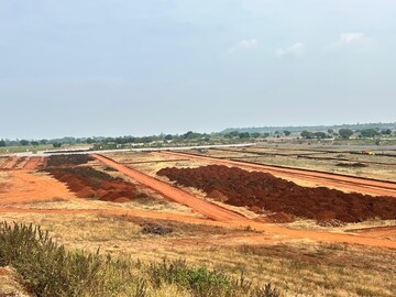 Plot Area in  Plot at Pargi – for Sale