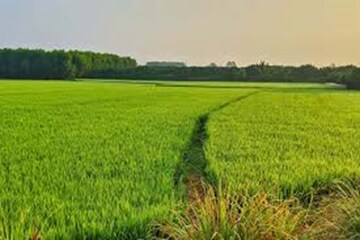  Plot For Sale in Sikandrabad