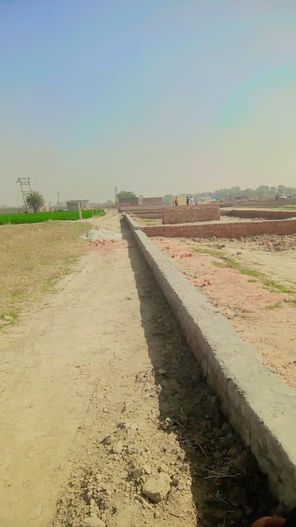 Plot For Resale in Sector 1 Faridabad  8141823