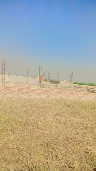 Plot For Resale in Sector 1 Faridabad  8141823