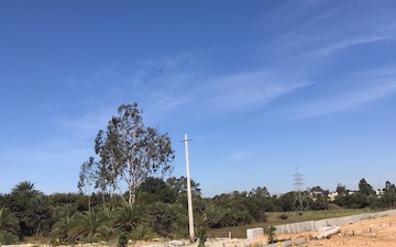 Land For Sale in Sikar Road