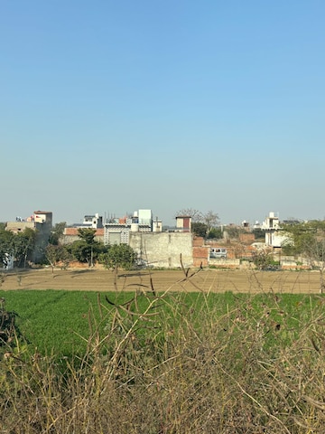 Plot Area in  Plot at Sector 137 – for Sale