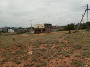 Plot Area in  Plot at Rt Nagar – for Sale