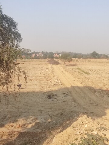  Plot – Exterior View View at Sector 135 - for Sale