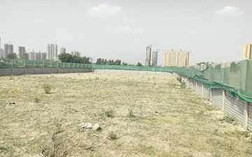Plot For Sale in Sector 136