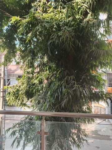 Balcony in 3 BHK Builder Floor at Ansal Sushant Lok I, Sector 43 – for Rent