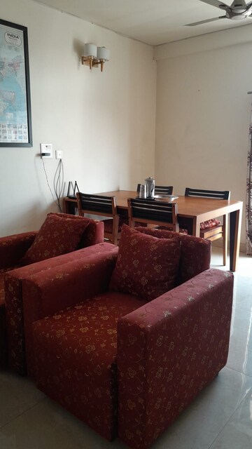 Living Room in 2.5 BHK Builder Floor at Safdarjang Enclave – for Rent