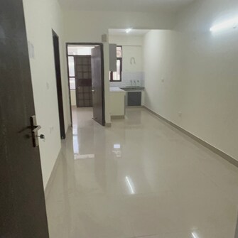 1 BHK Apartment For Rent in Auric City Homes Neharpar Phase 2 Faridabad  8142482