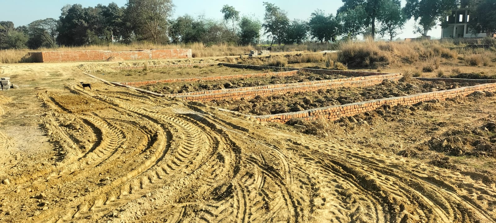 Plot For Sale in Shyam Vihar