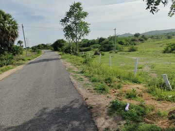  Plot For Sale in Adibatla