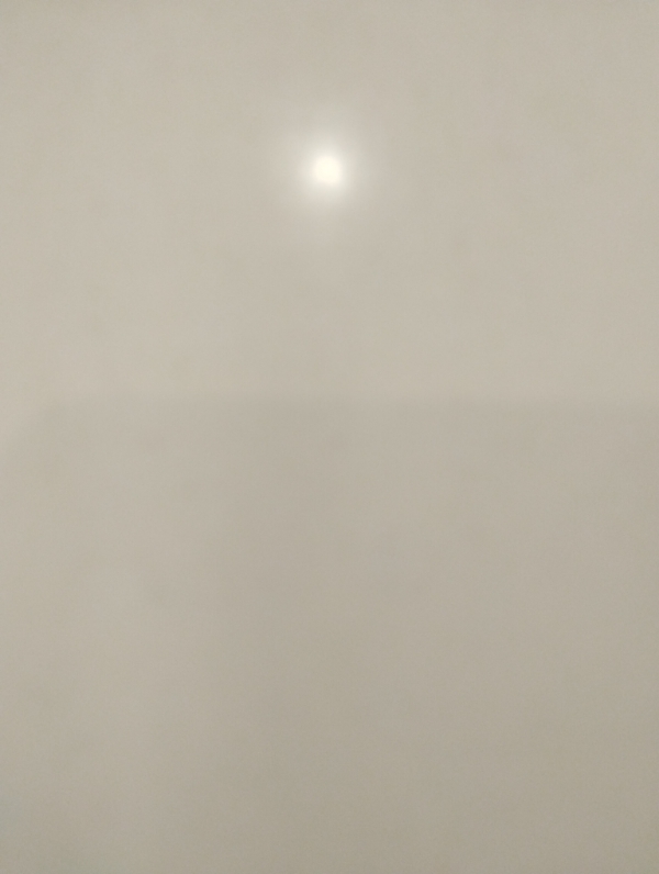 3 BHK + Pooja Room Apartment For Sale in EIPL Rivera