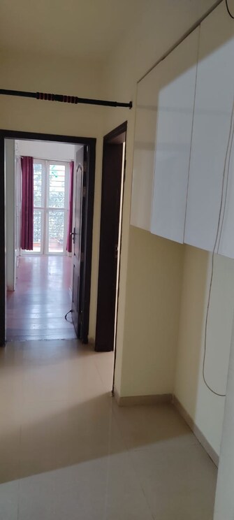 3 BHK Apartment For Rent in Nyati Environ Tingre Nagar Pune  8142918