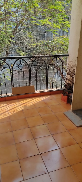 3 BHK Apartment For Rent in Nyati Environ Tingre Nagar Pune  8142918