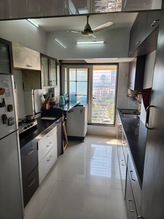 4 BHK Apartment For Resale in Vrindavan Society Borivali West Borivali West Mumbai  8142998