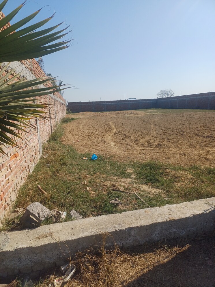 Exterior View, jewar  137 Sq.Yd. Plot In Jewar Greater Noida 8143070