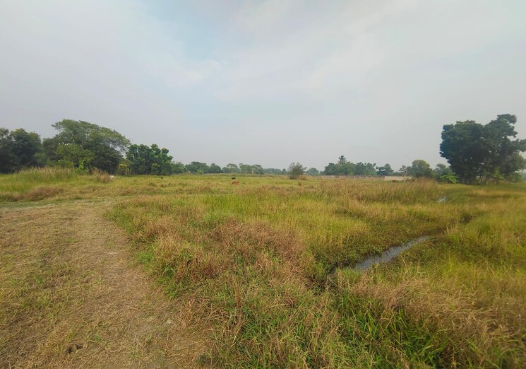 undefined, joka  3600 Sq.Ft. Plot In Joka Kolkata 8143097