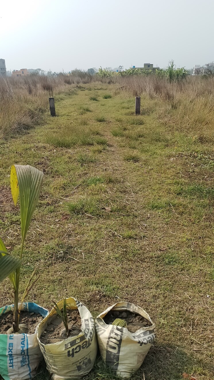 undefined, joka  3600 Sq.Ft. Plot In Joka Kolkata 8143097