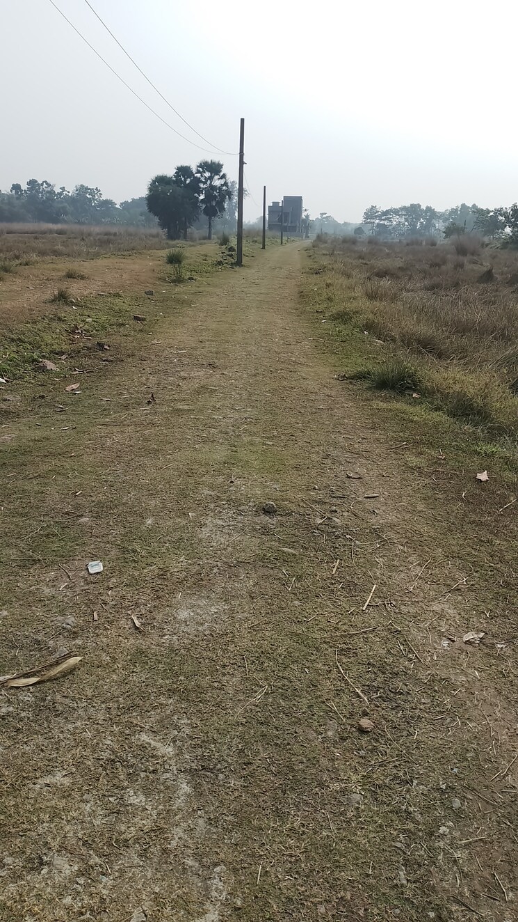 undefined, joka  3600 Sq.Ft. Plot In Joka Kolkata 8143097