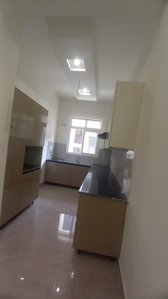 3 BHK Apartment For Rent in Aura Homes Patiala Road Zirakpur  8143244