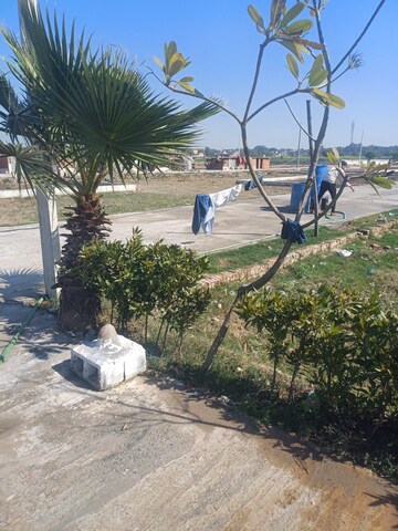  Plot – Exterior View View at Jewar - for Sale