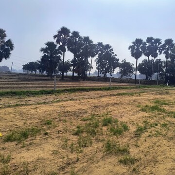 Plot Area in  Plot at Wazirganj – for Sale