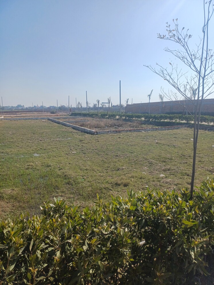 Exterior View, jewar  143 Sq.Yd. Plot In Jewar Greater Noida 8143383