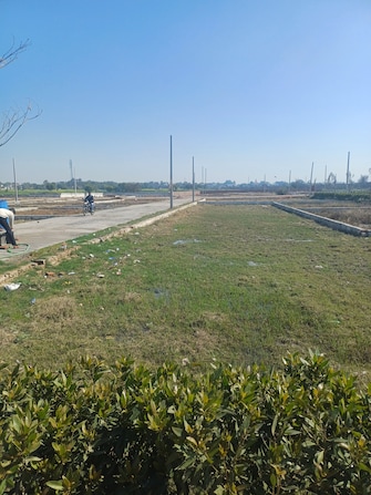 Commercial Land 500 Sq.Yd. For Resale in Jewar Greater Noida  8143438