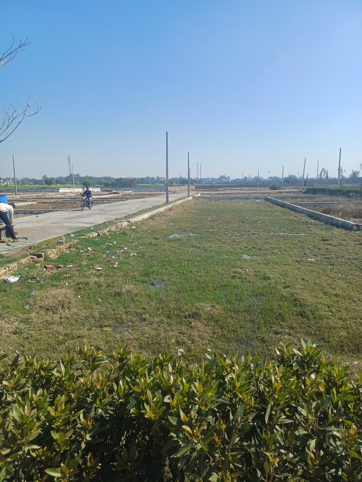 Exterior View, jewar Commercial Land 500 Sq.Yd. In Jewar Greater Noida 8143438