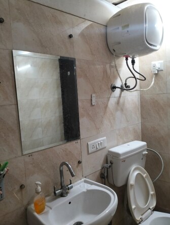 3 BHK Apartment For Rent in Stellar One Sector 1 Greater Noida Greater Noida  8143798