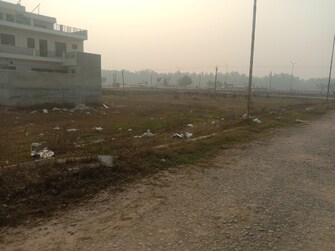 Plot For Resale in Altus Prime North Mullanpur Chandigarh  8143919