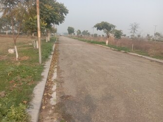 Plot For Resale in Altus Muirwood Ecocity North Kharar Chandigarh  8144019