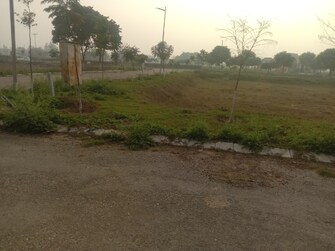 Plot For Resale in Altus Muirwood Ecocity North Kharar Chandigarh  8144019