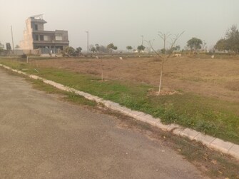 Plot For Resale in Altus Muirwood Ecocity North Kharar Chandigarh  8144019