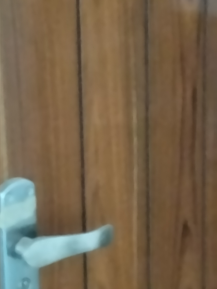 6 BHK + Pooja Room Independent House For Sale in Alpha 1 Greater Noida