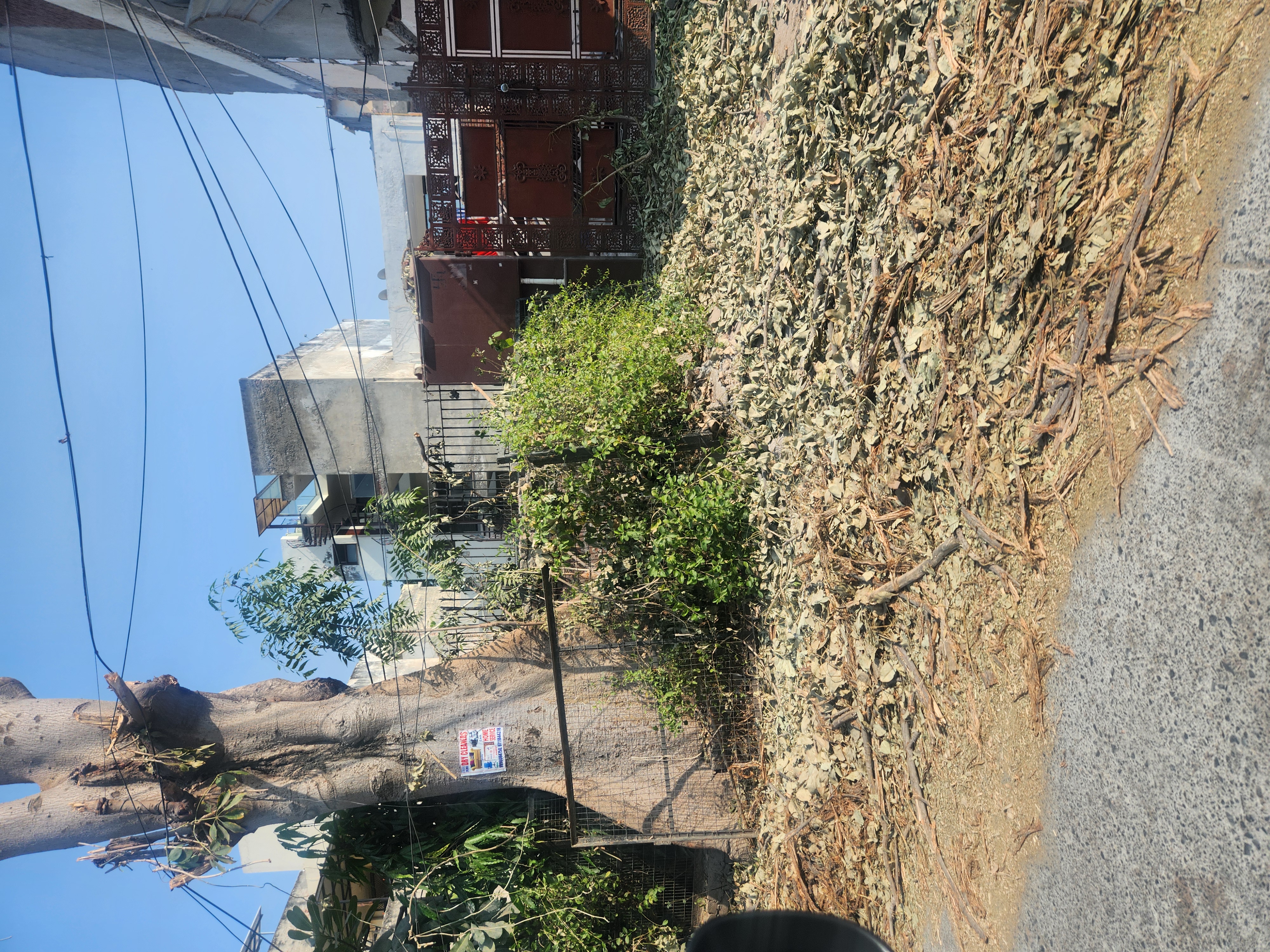 Plot For Sale in Sector 11