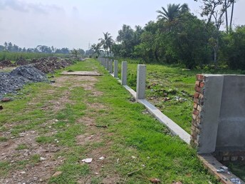 Plot For Resale in Joka Kolkata  8144663