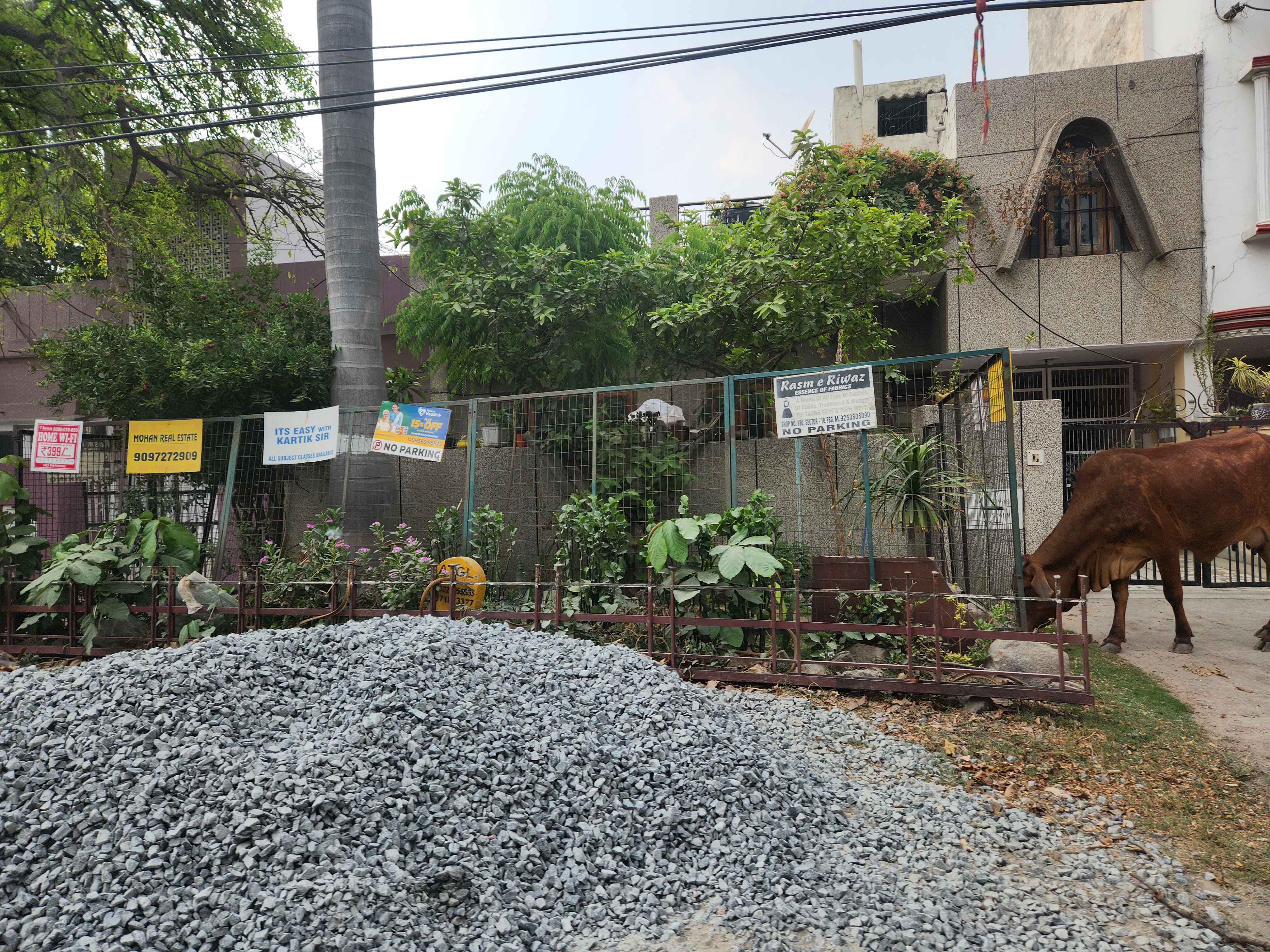 Plot For Sale in Sector 11