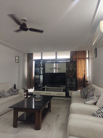 3 BHK Apartment For Resale in Boutique Residential Apartments C-31 Greater Kailash I Delhi  8144372